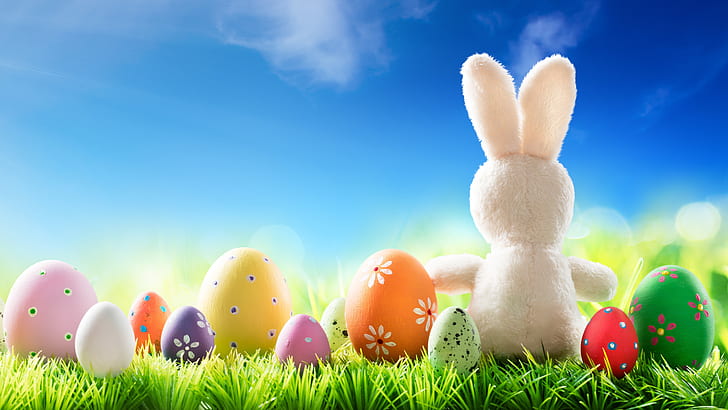 grass, the sun, flowers, spring, rabbit, Easter, eggs, bunny, HD wallpaper