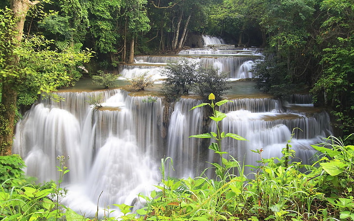 water falls, river, waterfall, plants, landscape, nature, tree, HD wallpaper