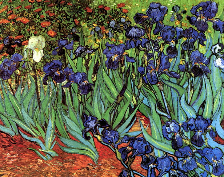 Vincent van Gogh, Irises, different colors, HD wallpaper