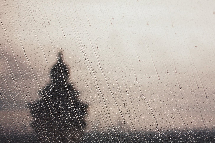 water drops, landscape, rain, trees, water on glass, no people, HD wallpaper