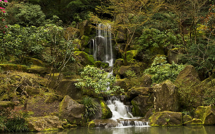 Waterfall Green Forest Jungle Rocks Stones Moss HD, waterfalls and green trees, HD wallpaper