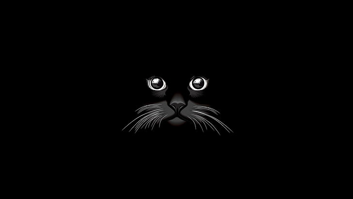 cat, minimalism, black, copy space, animal, black background, HD wallpaper