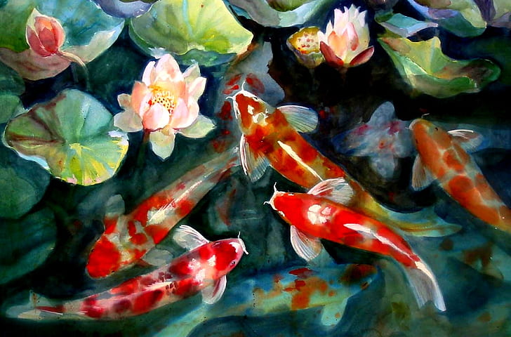HD wallpaper: water fish pond koi artwork lotus flower 1504x991 Nature  Flowers HD Art | Wallpaper Flare