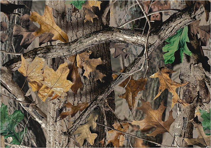 camouflage, Woodland Camouflage, Wallenstein Ais, plant part, HD wallpaper