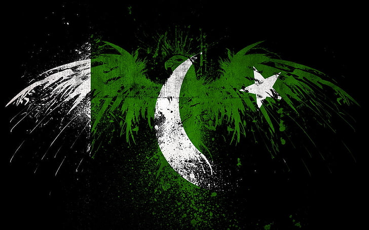 Flags, Flag Of Pakistan, Eagle, HD wallpaper