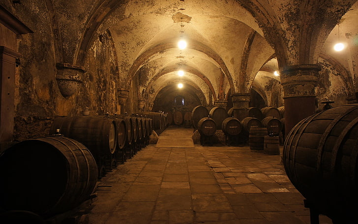 brown concrete castle, barrels, wine, cellars, Eberbach Abbey
