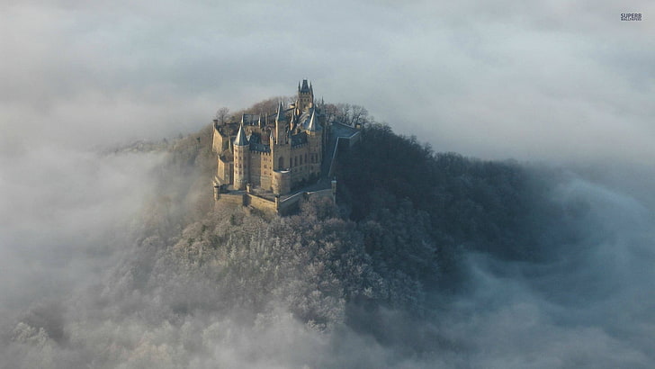 gray and blue concrete castle, Hohenzollern, Germany, forest