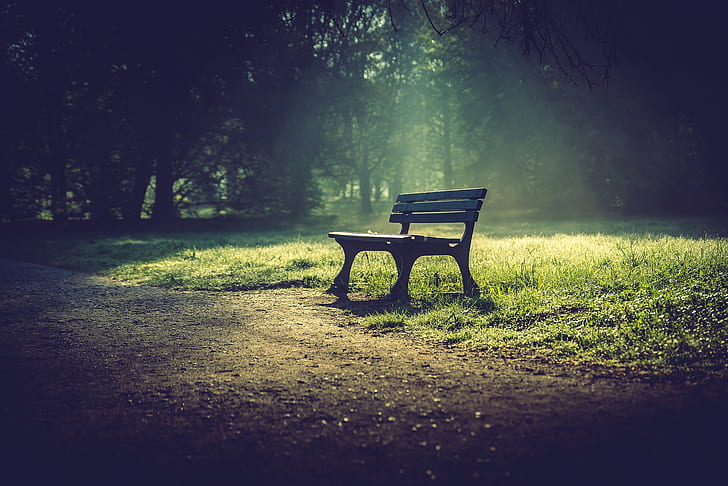 bench, nature, green, plant, tree, seat, land, grass, park