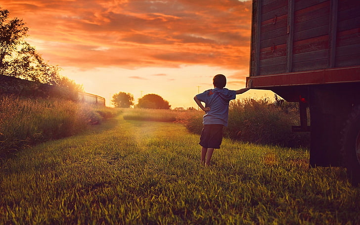 sunset, children, rear view, outdoors, grass, orange sky, real people