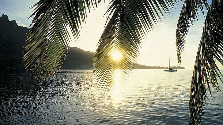 Sunset On Cooks Bay Moorea Isl Polynesia, mountain, palms, boat