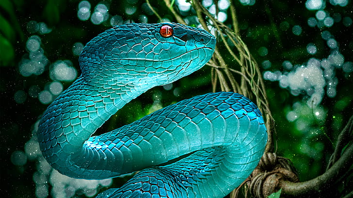 4098x768px | free download | HD wallpaper: Reptiles, Viper, Snake |  Wallpaper Flare