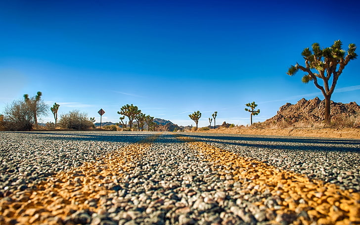 grey road, landscape, macro, desert, sky, plant, tree, nature, HD wallpaper