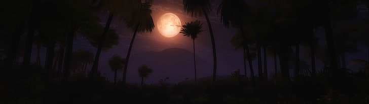 silhouette of trees wallpaper, multiple display, Moon, palm trees, HD wallpaper