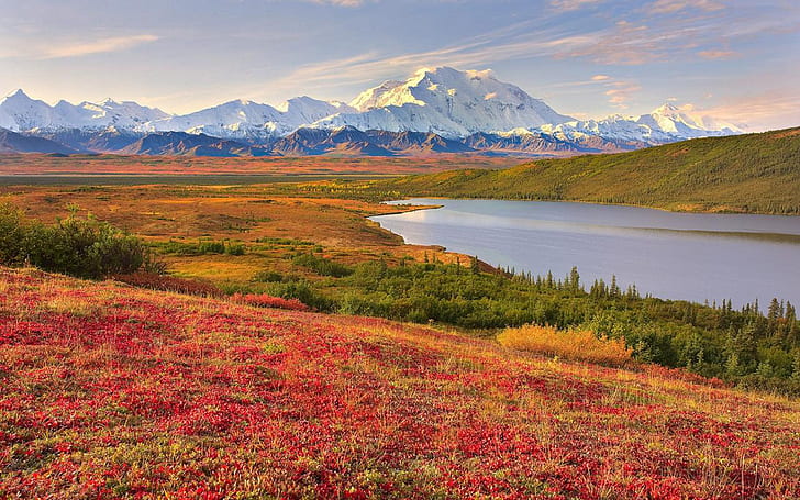 Beautiful Landscape, Lake, Mountains, Snow White Clouds Blue Denali National Park Alaska United States Desktop Wallpaper Hd Widescreen Free Download, HD wallpaper