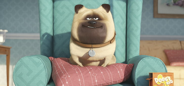 Best Animation Movies of 2015, cartoon, The Secret Life of Pets, HD wallpaper