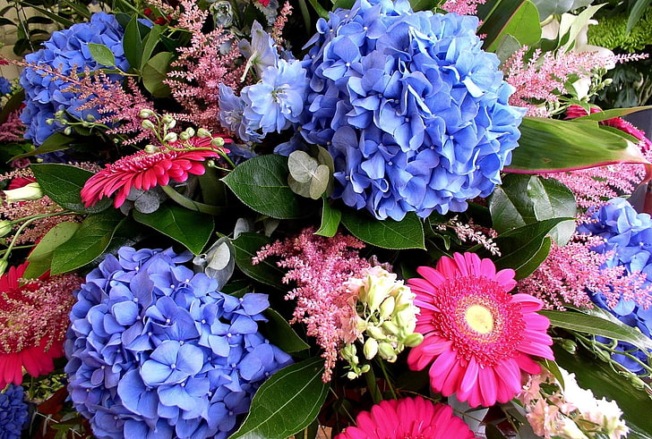 blue and pink petaled flowers, hydrangea, gerbera, delphinium, HD wallpaper