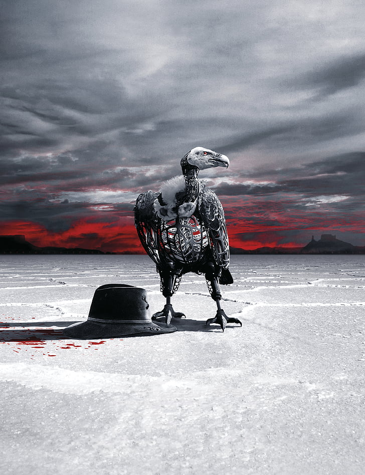 black bird illustration, Westworld, Season 2, 2018, HD, 4K