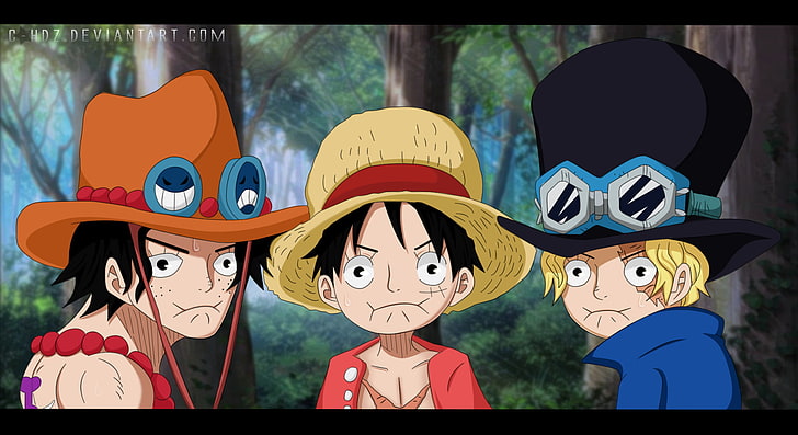 portgas d ace and monkey d luffy
