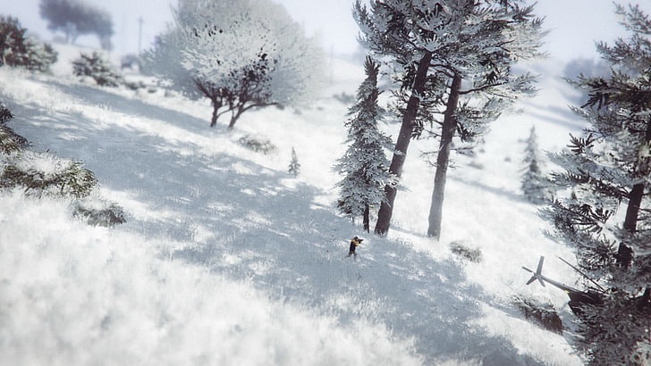 Grand Theft Auto V, Grand Theft Auto Online, snow, wood, helicopters
