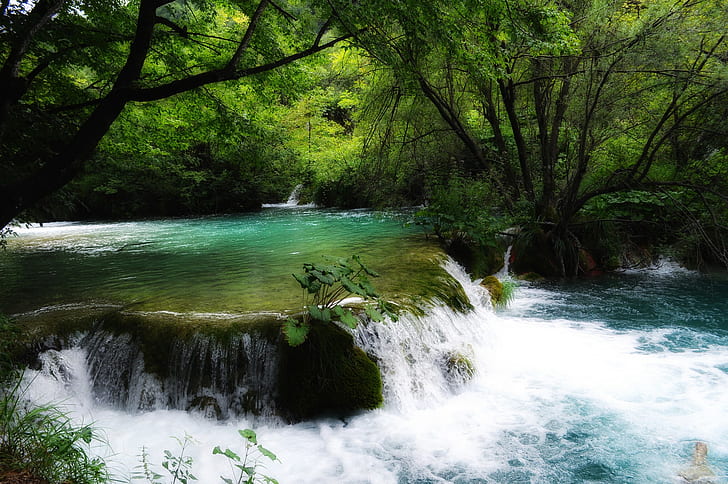 Croatia, waterfall, river, nature, Plitvice National Park, HD wallpaper
