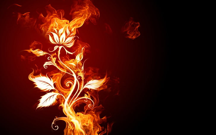 orange flame flower, fire, flowers, heat - temperature, burning, HD wallpaper