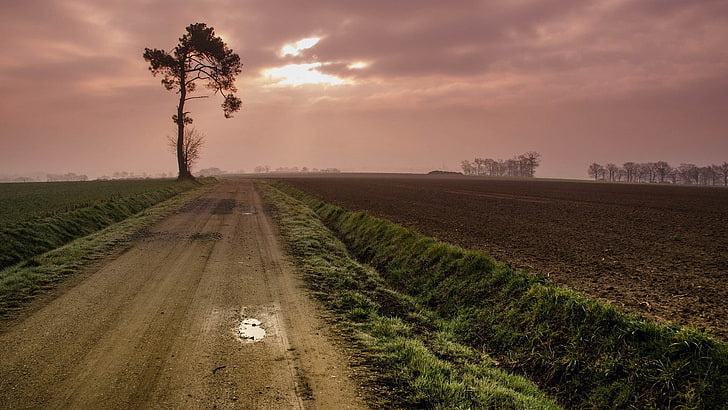 brown dirt road, nature, landscape, sky, field, agriculture, plant