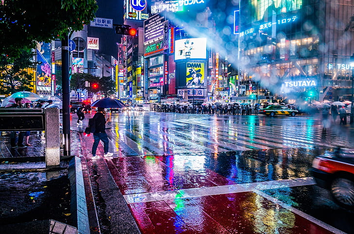 wet, light, the city, lights, people, rain, street, umbrella