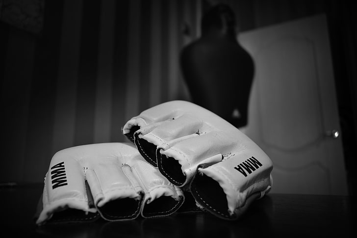 mixed martial arts, mma, wrestling, bw, gloves, indoors, focus on foreground, HD wallpaper