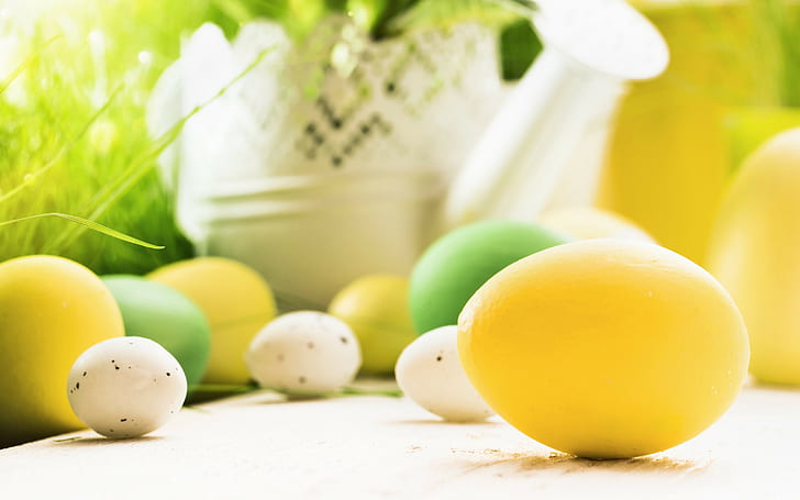 Decoration, spring, flowers, assorted egg lot, Happy, Easter, HD wallpaper