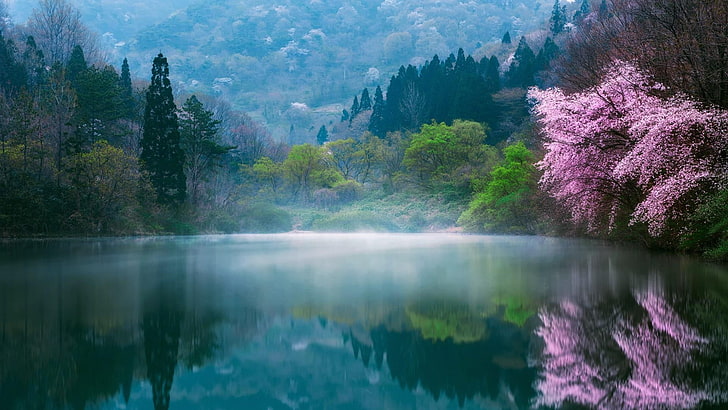 nature, water, reflection, spring, wilderness, mount scenery