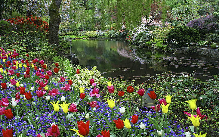Butchart Gardens Tulips In All Colors Island Vancouver British Columbia Canada Hd Wallpaper 1920×1200