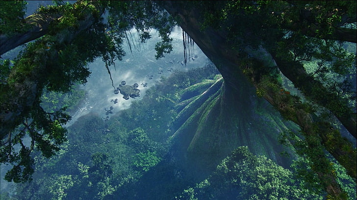 Avatar Movie Nature Backgrounds 9 HD wallpaper  Pxfuel