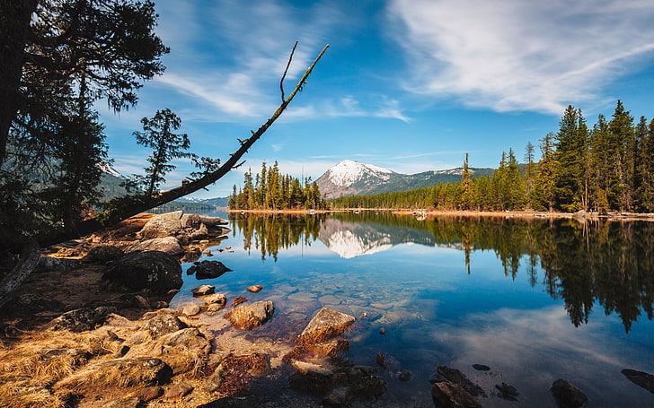 Lake Wenatchee State Park Rocky Shore Peaceful Lake Island Pine Forest And Mountains With Snow Peak And Blue Sky With White Clouds Hd Wallpaper
