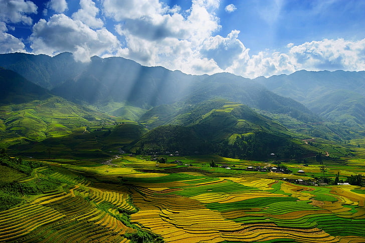 green rice terraces, landscape, nature, terraced field, valley, HD wallpaper