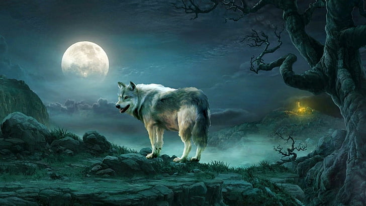 wildlife, sky, full moon, moonlight, artwork, fantasy art, darkness, HD wallpaper