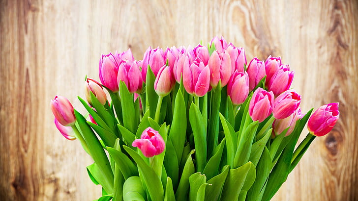 Beautiful Pink Tulip Flowers Bouquet