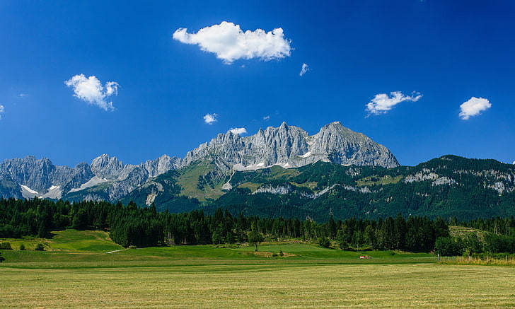 forest, mountains, Austria, Alps, meadow, mountain Wilder Kaiser