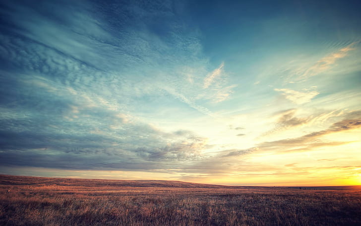 field, dawn, sky, beautiful scenery, HD wallpaper