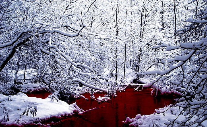 Bloody Winter, bare trees, Seasons, cool, white, snow, red, cold temperature