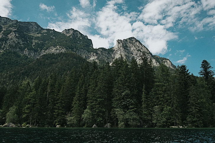 pine trees and mountain peak, lake, mountains, beauty in nature
