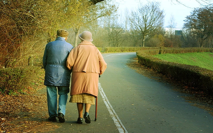 love, old people, rear view, tree, walking, full length, two people, HD wallpaper