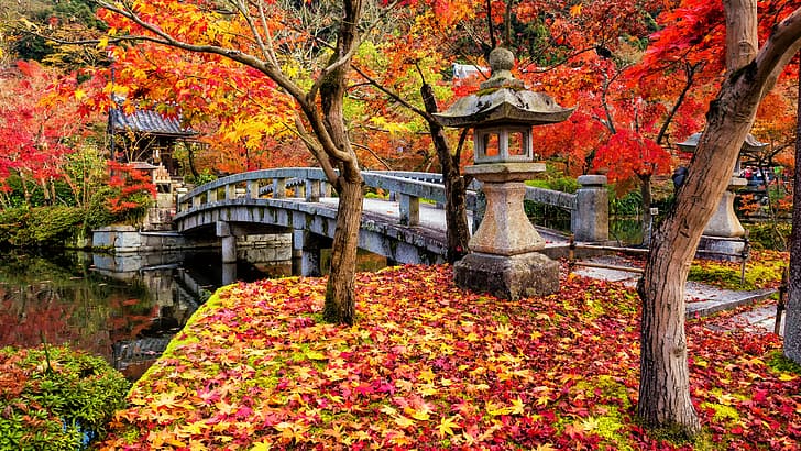 autumn, leaves, trees, Park, colorful, Japan, maple, Kyoto, HD wallpaper