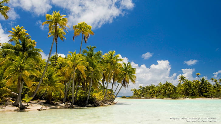Rangiroa, Tuamotu Archipelago, French Polynesia, Beaches, HD wallpaper