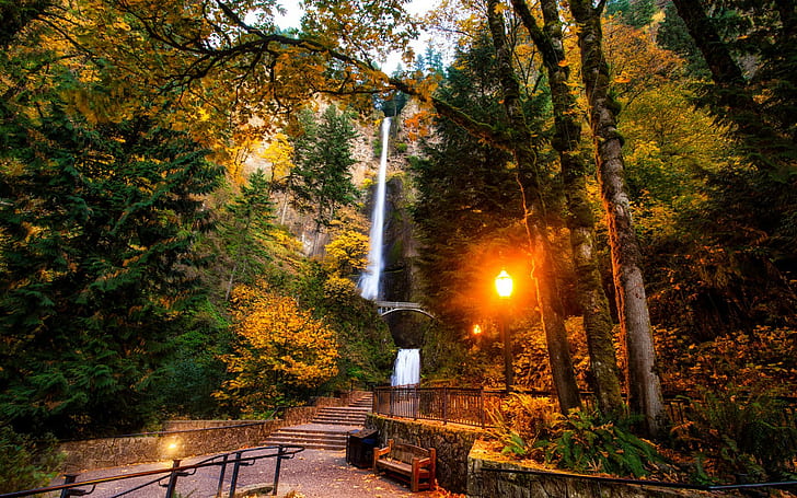 US, Multnomah falls, Oregon, bridge, lights, trees, park, rock, HD wallpaper