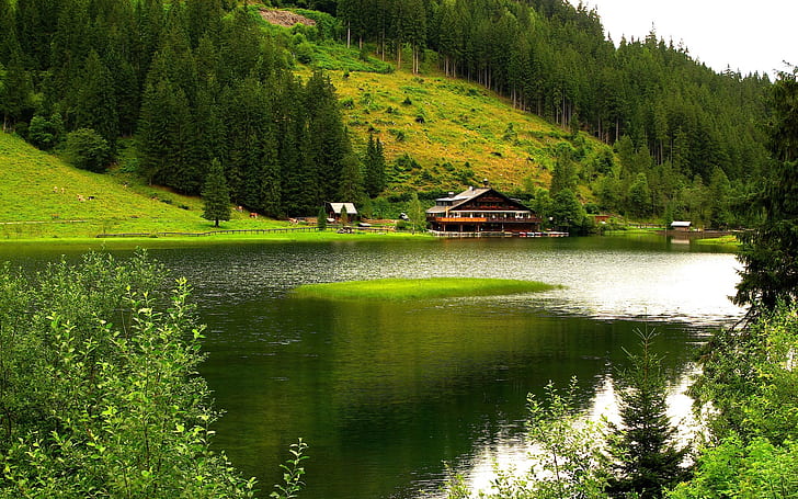 Nature scenery, mountains, trees, river, house, green, HD wallpaper