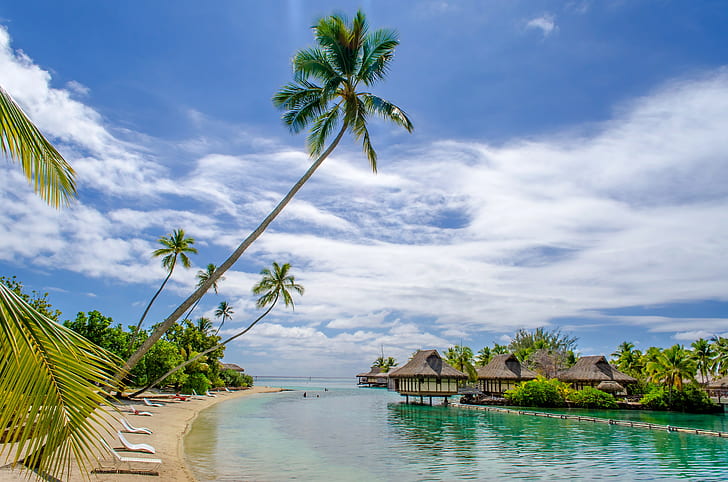 Another Tropical Paradise, beach, palms, Sea, Ocean, sunshine, HD wallpaper