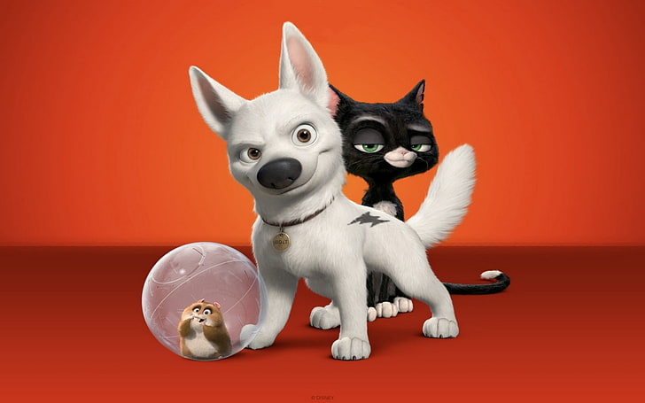 HD wallpaper: A Bolt, Volt animation wallpaper, Cartoons, cat, white, dog,  mammal | Wallpaper Flare