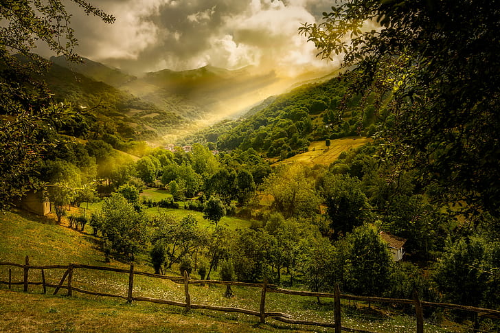 green leaves trees in mountain, de, landscapes, lena  asturias