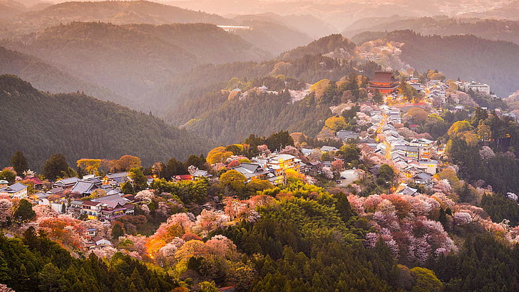 trees, mountains, spring, Japan, Sakura, flowering, HD wallpaper