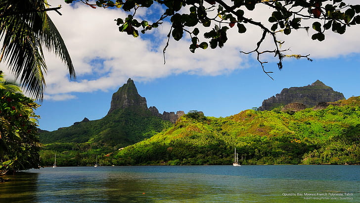 Opunohu Bay, Moorea, French Polynesia, Tahiti, Islands, HD wallpaper